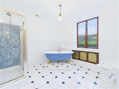Picture 15